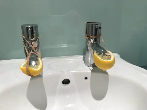 Using lemons to remove limescale from basin taps